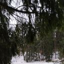  ,   , 33 ,     , c 