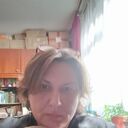  -,   , 49 ,   ,   
