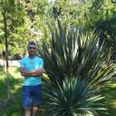 ���������� ������������, ���� ������� ����, 40 ���, ������������ ��� ������, ����� � ���������, c�������� ���������