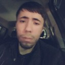 ���������� �������, ���� ������� Sardor, 35 ���, ������������ ��� ������, ����� � ���������, c�������� ���������, ���������