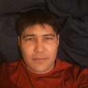 ���������� ������, ���� ������� Doni, 37 ���, ������������ ��� ������, ����� � ���������, c�������� ���������, ���������