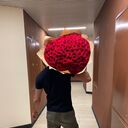 ���������� ������, ���� ������� �����, 39 ���, ������������ ��� ������, ����� � ���������, ���������