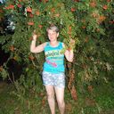  ,   , 54 ,   