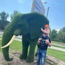  ,   , 36 ,   ,   