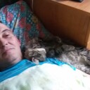 ���������� ���, ���� ������� Fanis, 55 ���, ������������ ��� ������, ����� � ���������, c�������� ���������