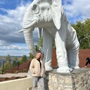 ���������� ������, ���� ������� ���, 43 ����, ������������ ��� c�������� ���������