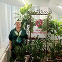 ���������� ����, ���� ������� ������, 62 ����, ������������ ��� ������, ����� � ���������