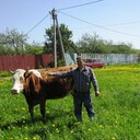  ,   , 72 ,   ,   