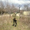  ,   , 31 ,   ,   , c , 