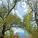 ���������� �����������, ���� ������� �����, 53 ����, ������������ ��� ����� � ���������, c�������� ���������, ���������