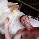 ���������� ������-��-����, ���� ������� �����, 54 ����, ������������ ��� c�������� ���������, ���������