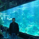 ���������� �������, ���� ������� ����, 37 ���, ������������ ��� ����� � ���������, c�������� ���������