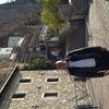  ,   Veselin kora, 56 ,   