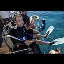 ���������� ��������, ���� ������� ��������, 44 ����, ������������ ��� ������, ����� � ���������, c�������� ���������, ���������