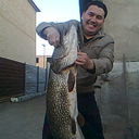 ���������� ������, ���� ������� Kuanish, 45 ���, ������������ 