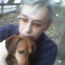  ,   , 55 ,   