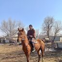 ���������� ������, ���� ����� ����, 22 ����, ������������ ��� ������, ����� � ���������, c�������� ���������, ���������