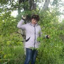  ,   , 66 ,  