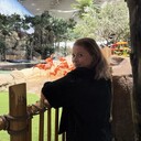  ,   , 60 ,   ,   , c , 