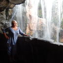 ���������� �����-���������, ���� ������� ���, 50 ���, ������������ ��� ����� � ���������, c�������� ���������