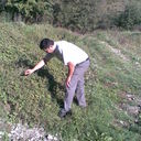  ,   050 3807086, 43 ,   