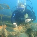 ���������� ������ ��������, ���� ������� �������, 51 ���, ������������ ��� ������, ����� � ���������, c�������� ���������