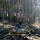 ���������� �������, ���� ������� ��������, 45 ���, ������������ ��� ������, ����� � ���������, c�������� ���������, ���������