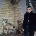 ���������� ������, ���� ������� �ZIZ, 37 ���, ������������ ��� ������, ����� � ���������