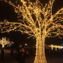 ���������� ������, ���� ������� ����, 38 ���, ������������ ��� ������