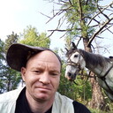  -,   , 41 ,   ,   , c 