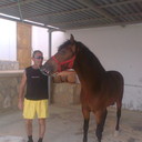 ���������� ������, ���� ������� Emilaliti, 65 ���, ������������ ��� ������, ����� � ���������, c�������� ���������