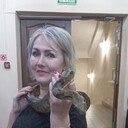 ���������� �����, ���� ������� ������, 56 ���, ������������ ��� c�������� ���������