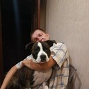  ,   , 41 ,   ,   