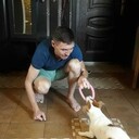 ���������� ���������, ���� ������� �����, 47 ���, ������������ ��� ������, ����� � ���������, c�������� ���������