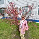  ,   , 57 ,   c 