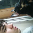 ���������� ����, ���� ������� ������, 31 ���, ������������ ��� ������, ����� � ���������, c�������� ���������