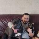  ,   , 43 ,   