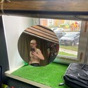 ���������� �����, ���� ����� �������, 21 ���, ������������ ��� ������, ����� � ���������