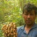  ,   Begali, 60 ,   ,   , c 