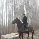 ���������� ������, ���� ������� ��������, 36 ���, ������������ ��� ������, ����� � ���������