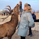 ���������� �������, ���� ������� Akbar, 30 ���, ������������ ��� ������, ����� � ���������