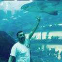 ���������� �������, ���� ������� �������� ���, 43 ����, ������������ ��� ������