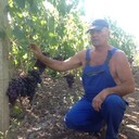  deleted,   , 61 ,   ,   , c 