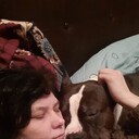 ���������� ������, ���� ������� �������, 38 ���, ������������ ��� ������, c�������� ���������