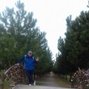  -,   , 53 ,   c 