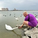 ���������� �������, ���� ������� ���������, 36 ���, ������������ ��� ������, ����� � ���������