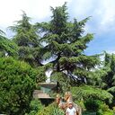 ���������� ������, ���� ������� ������, 36 ���, ������������ ��� ������, ����� � ���������, c�������� ���������, ���������