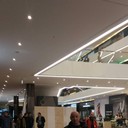 ���������� �����, ���� ������� �������, 55 ���, ������������ ��� ������