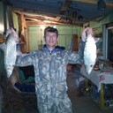 ���������� ���������, ���� ������� ��������, 48 ���, ������������ ��� ������, ����� � ���������, c�������� ���������