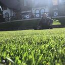 ���������� ����, ���� ������� Petrina, 29 ���, ������������ ��� ������, ����� � ���������